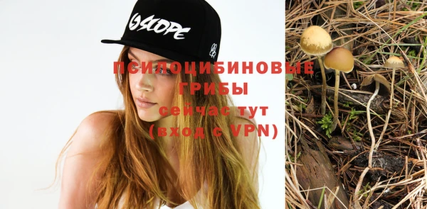 ешки Арсеньев
