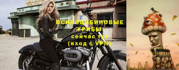 бошки Алзамай