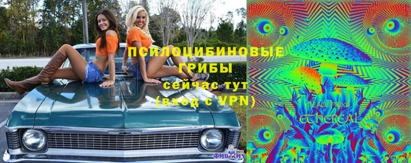 бошки Алзамай