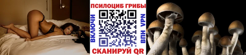 Галлюциногенные грибы прущие грибы  omg зеркало  Вихоревка 